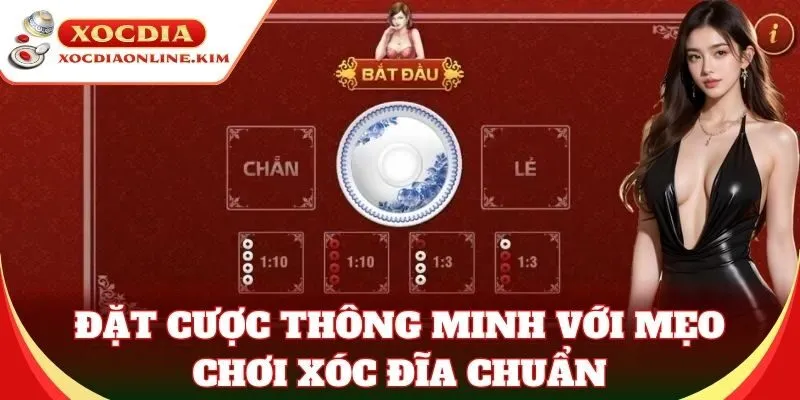 Đặt cược thông minh với Mẹo Chơi Xóc Đĩa